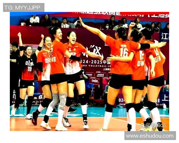 北京排球队在联合会杯中的默契配合与战术执行分析