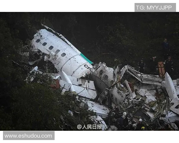 外国飞机失事导致足球明星不幸遇难引发全球哀悼与关注