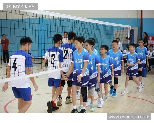 深圳排球队在排球意识排行榜中荣登第四名展现强大团队协作能力 深圳排球队在排球意识排行榜中荣登第四名展现强大团队协作能力