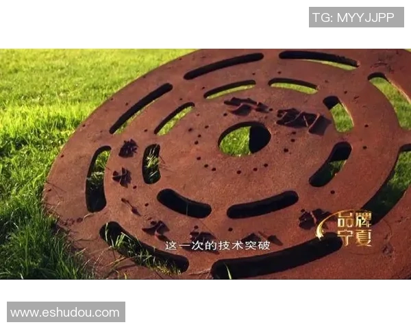 武汉足球队转型之路揭秘精英赛背后的奋斗与坚持 武汉足球队转型之路揭秘精英赛背后的奋斗与坚持