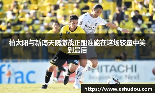 柏太阳与新泻天鹅激战正酣谁能在这场较量中笑到最后