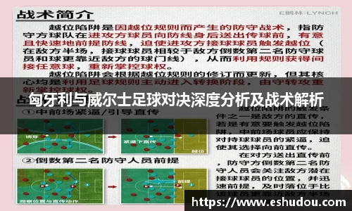 匈牙利与威尔士足球对决深度分析及战术解析