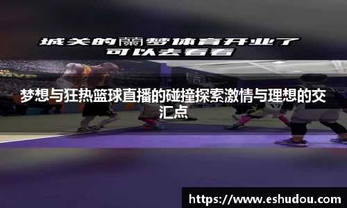 梦想与狂热篮球直播的碰撞探索激情与理想的交汇点
