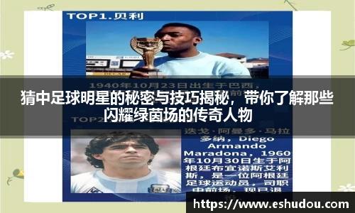 HOME-U8国际「强保障平台